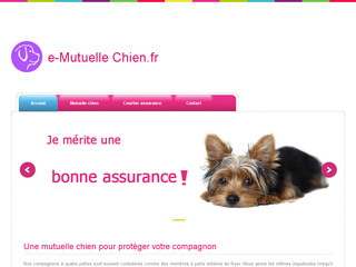 La meilleure mutuelle pour chien ici